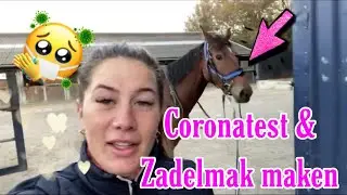 Coronatest voor Stephanie|zadelmak maken My Zarah met Robin | Weekvlog *Manege de Arckelhoeve*