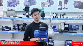 Máy bơm ly tâm trục ngang đầu inox Ebara CDXM 200/12 1.2 Hp 1 pha 220V