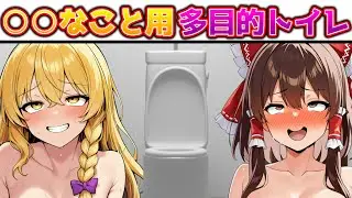 ○○なことしないとおしっこできない多目的トイレを使ってみた