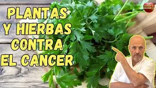 ✅ EL PODER DE LAS PLANTAS Y HIERBAS MEDICINALES CONTRA EL C&Aacute;NCER ✅