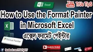 How to Use the Format Painter in Microsoft Excel Bangla