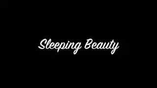 Sleeping beauty music box
