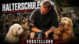 Die Halterschule stellt sich vor. Ich trainiere keine Hunde. Ich trainiere dich. #hundeschule #hund