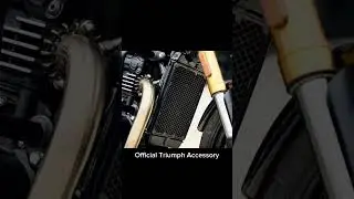 Which Radiator Guard to choose? #triumphspeed400 #speed400radiatorguard #speed400aftermarketparts