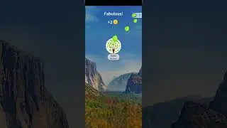 Word Trip Level 335 Answers | word trip answers