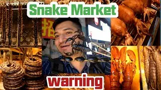 Snake Food Market in China ||Tour to Shenzhen's STREET FOOD|| Scorpion -Spider -Centipede.urdu/hindi