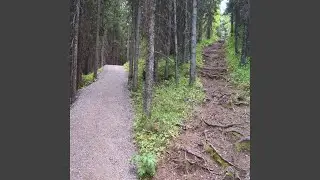 Less Traveled Path