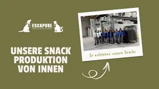 Hunde Snack Produktion von Innen - einzigartige Einblicke hinter die Kulissen