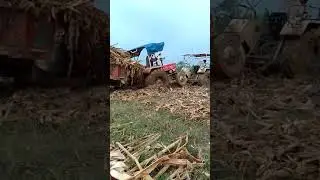 #video👬🧎💯 short @video #Yt @short #dilkhush 💯💯dilkhush 🥀🥀Khan