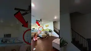 This Dog&rsquo;s Quick Thinking Saved His Owner&rsquo;s Life ❤️🐶 #shorts