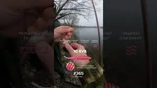 Fario bronze 2-8 (tubular). Только на форель или для микроджига?