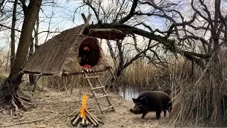 🔥 Hanging Survival Shelter on a Fallen Tree: Wolf Den Survival Skills