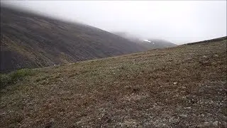 Exploring Alaska Back County Gold Camp