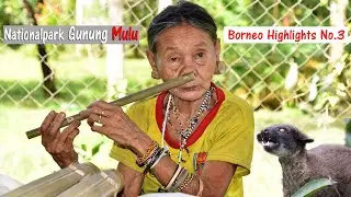 Gunung Mulu Nationalpark / SARAWAK - BORNEO Highlights No.3 -BORNEO