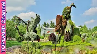 10 Jardines botánicos Más Hermosos del Mundo