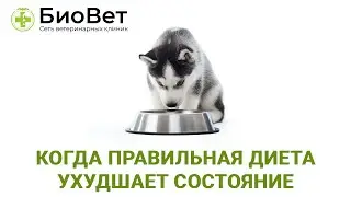Когда правильная диета ухудшает состояние