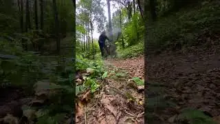 HARO - первая кровь😂