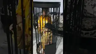 Cage Prop For School Function   #creative #handmade #props #pinjraa #fancydress #schoolproject