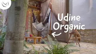 LA SIESTA Udine Organic | Organic Cotton Hammock Chair with Stand