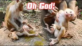 Oh God! Libby&rsquo;s__Abus(e)of Lily &mdash; Poor Baby...yavyav monkey ep191