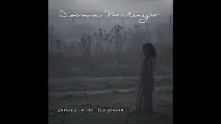 Camino a la Templanza (Album completo 2019) - Soema Montenegro