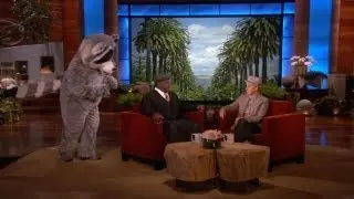 Cedric the Entertainer Raccoon Face-Off