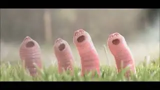 Смешные червечки, Lustiges Video, animierte Spa&szlig; und Lustig, смешные видео, прикольный мультик