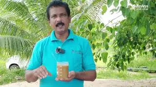 Neem seed extract for pest control පලිබෝධ මර්දනය සඳහා කොහොඹ  බීජ නිස්සාරණය සහ භාවිතය