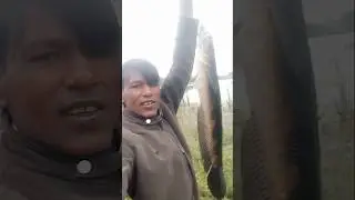 #Karnataka Mysore Kaveri fishing guide Amjad#🥀🏞️🥀🐍🐍🎣👌👍7483643530