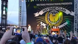 Wu Tang Clan - Tearz and C.R.E.A.M. at Riot Fest 2015
