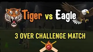 Tiger Vs Eagle 3 Over challenge match 🏏  who&rsquo;s win ? #cricket 