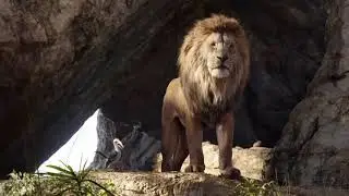 Lion King simba🦁 and jaju🦜 | best funny clips🤡🐱🤣🤣 in hindi ||Hollywood hindi dubbed funny video🤣🤣