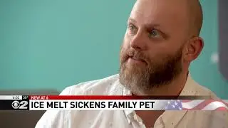Utah man warns pet owners after dog poisoned by ice melt