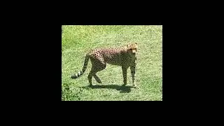 SOUTH AFRICA in photos