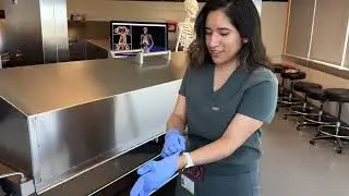 What is Modern Human Anatomy?