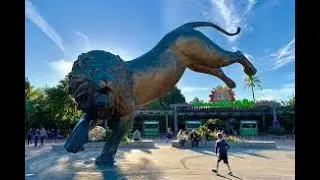 Zoo Sandiego || Beach || Balboa Park || Activities || Fun & Entertainment || A&F Channel