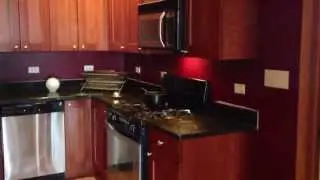 2/2 CONDO for SALE 641 E Pershing #302, Chicago, IL 60653