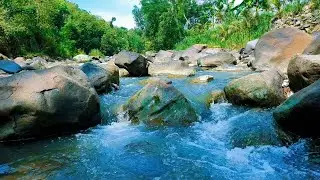 Tranquil River Flow 24/7 Live – Relaxing Water Sounds & Green Noise for Better Sleep & Focus