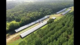 Central Georgia Poultry Farm For Sale
