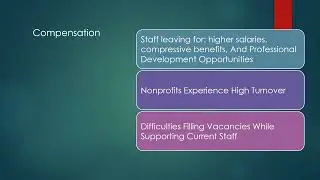 Amy Kerley: The Struggle to Attract and Retain Talent in Nonprofit Organizations Case Study Video
