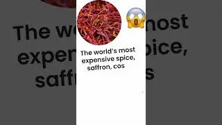 Spice more expensive than gold