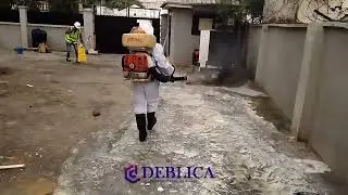 Express Fumigation and Pest Control.