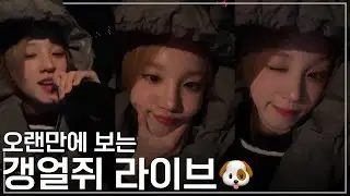오랜만에 보는 갱얼쥐 라이브[240208위버스라이브 요약본]