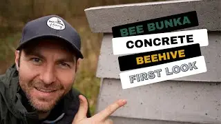 Concrete Bee Bunka Beehive - First Look