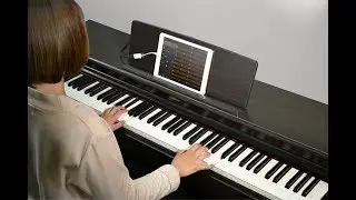 Magazin GRAMOFON. Yamaha YDP-164 DEMO.
