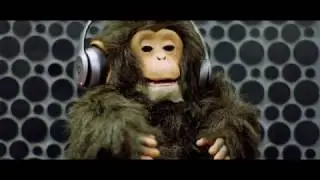 Seeya & Morris - BOCA BOCA ( Official Video ) by TommoProduction