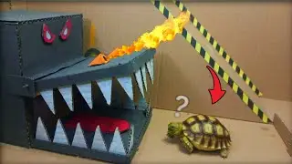 Tortoise adventure maze | Tortoise 🆚 Dragon