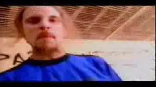 Skunk DF - Perro Muerto