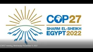 Sharm El-Sheikh, Egypt, COP27 meeting, Wednesday 9 November 2022