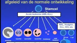 st.Contactgroep Leukemie  AML deel1